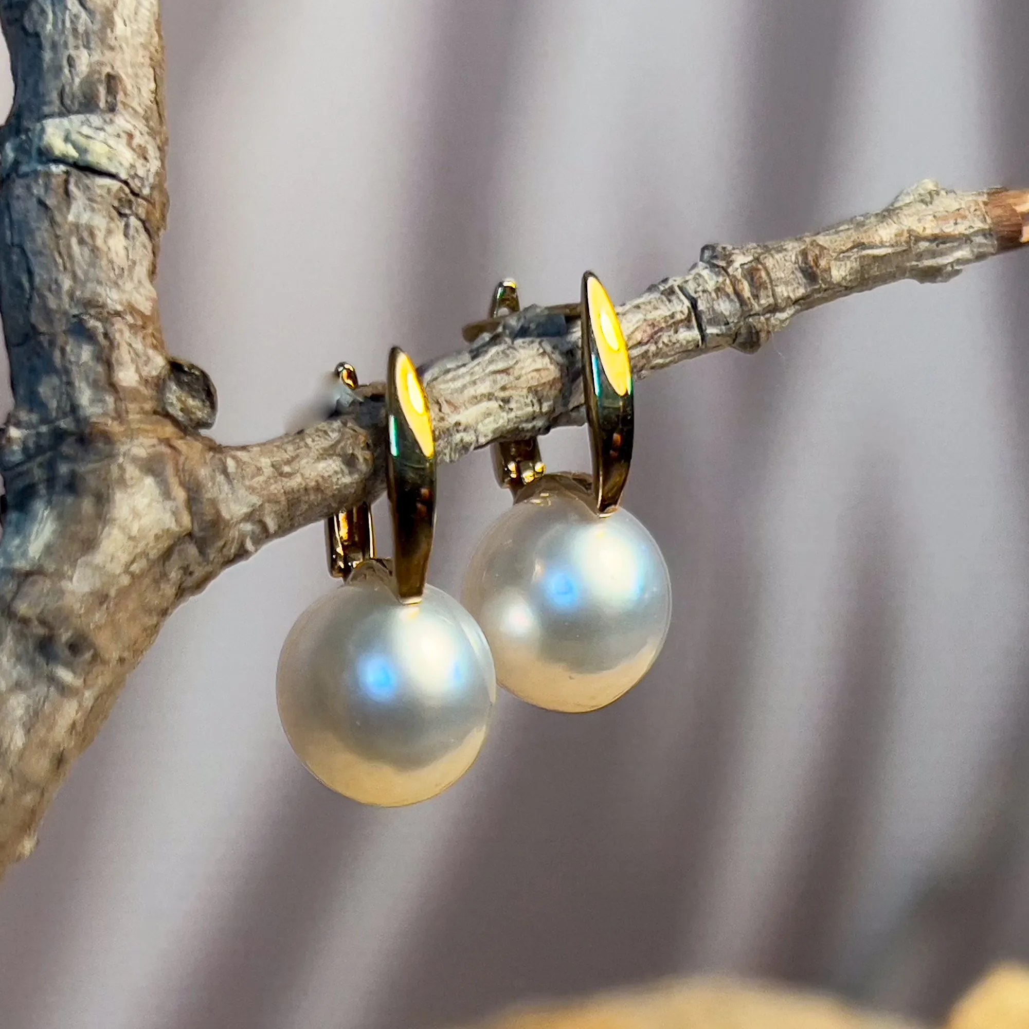 9kt Yellow Gold huggie style South Sea Pearl 9-9.5mm earrings