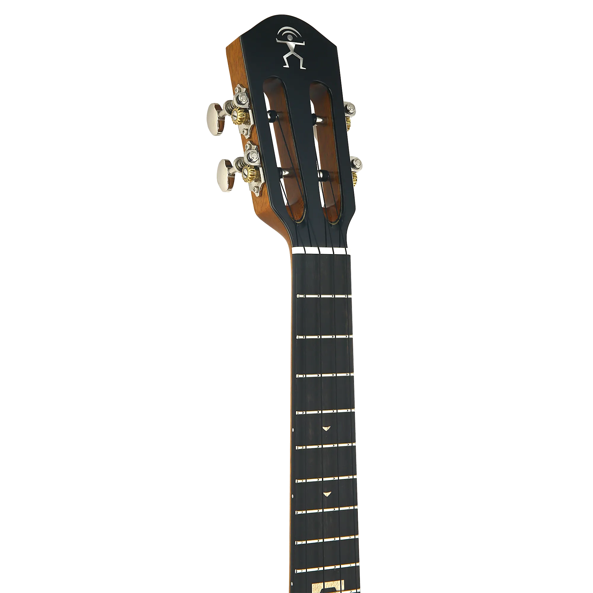 aNueNue Lion Cedar Koa Tenor Ukulele
